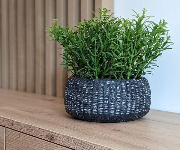 Przy Promenadzie Nadmorskiej Polanka Redlowska By Renters Апартаменты Гдыня